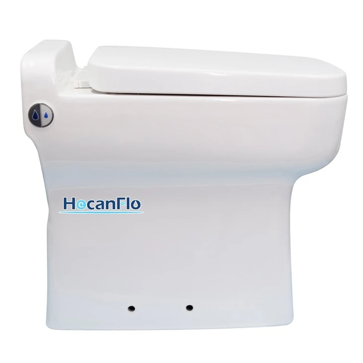 Rimless Wall Hung Toilet
